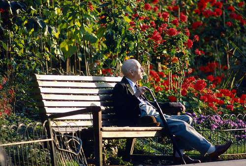 Post image for Ideas! Ideas! Finding Writing Ideas For You Short Story